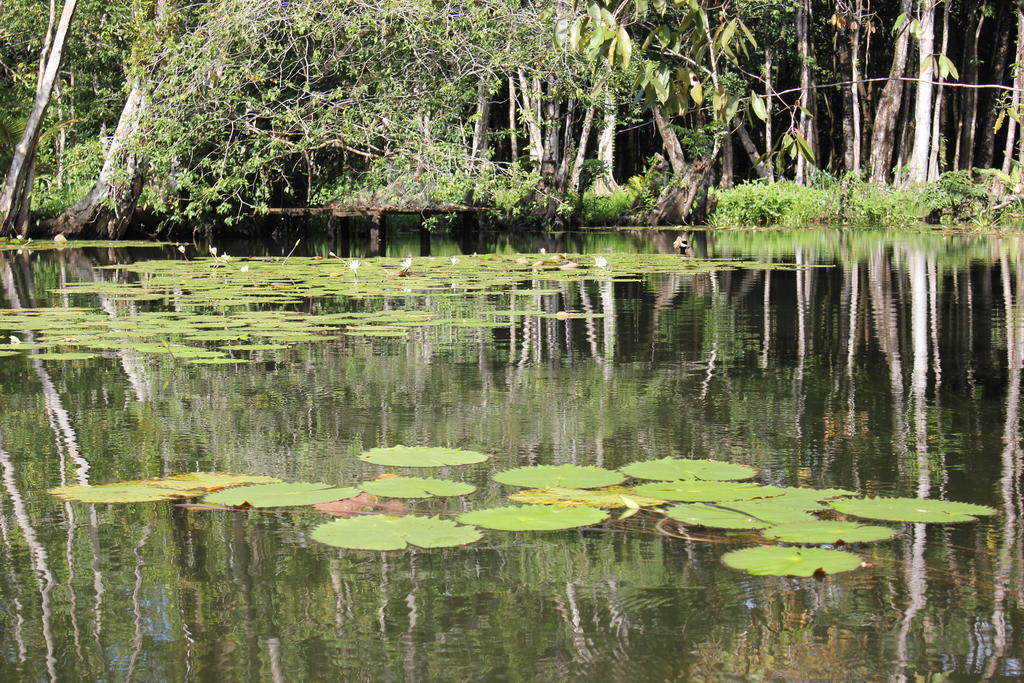 Hotel Y Restaurante Backpackers Rio Dulce Town Buitenkant foto